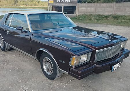Chevrolet Monte Carlo 1979 5.0 V8 Training Day TOP ZUSTAND