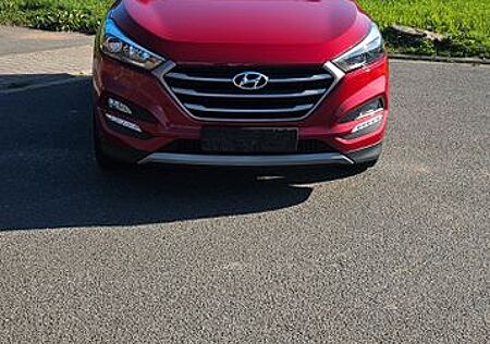 Hyundai Tucson 1.6 T-GDI Trend 4WD Trend