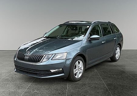 Skoda Octavia Combi Ambition 1.4-8 Fach Bereift-PDC