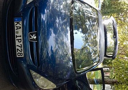 Peugeot 307 Platinum 110 Platinium