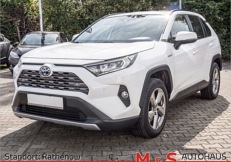 Toyota RAV 4 RAV4 2.5 Hybrid 4x4 Team Deutschland