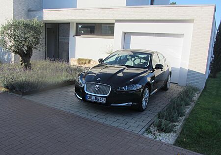 Jaguar XF 3.0 V6 Diesel Luxury top Zustand!