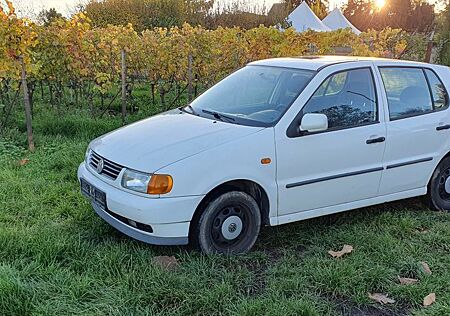 VW Polo Volkswagen 1.0 Basis