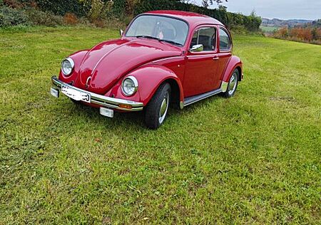 VW Käfer Volkswagen