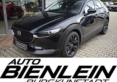 Mazda CX-30 2.5 140PS Nagisa Bose Kamera Navi Voll-LED
