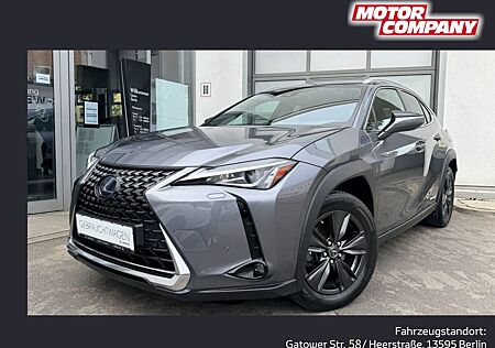 Lexus UX 250h Amazing Edition HYBRID * Sommer & Winter