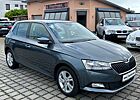 Skoda Fabia Style *SMARTLINK*SITZHZG*ASSIS*KEYLESS*