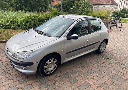 Peugeot 206 Petit Filou 60