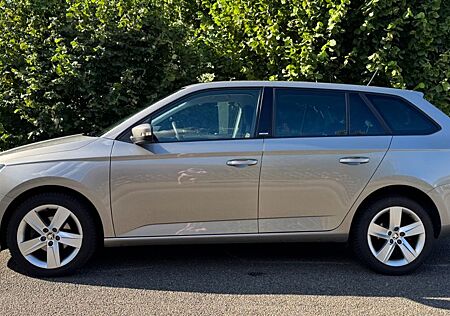 Skoda Fabia Combi 1.2l TSI 66kW Joy, extra Ausstattung