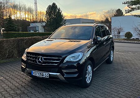 Mercedes-Benz ML 350 ML 350d BlueTec AMG AHK Schiebedach