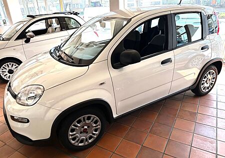 Fiat Panda Base 1.0 GSE Hybrid