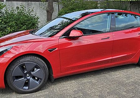 Tesla Model 3 Long Range inkl. Winterräder