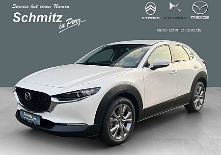 Mazda CX-30 gebraucht kaufen Mazda CX-30 Takumi BLOP HUD Navi Leder Soundsystem Bos