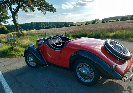 Ford Andere