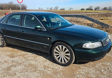 Audi A8 / V8 gut gepflegt Getriebe überholt