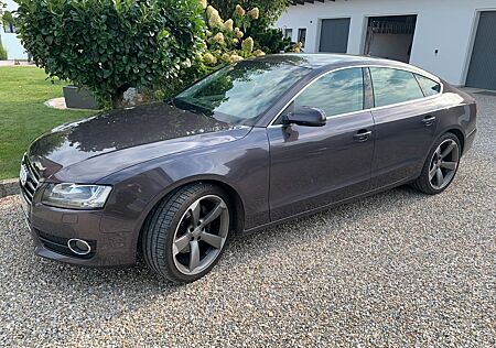 Audi A5 3.0 TDI Sportb. S-Tronic quattro LED B&O 19"