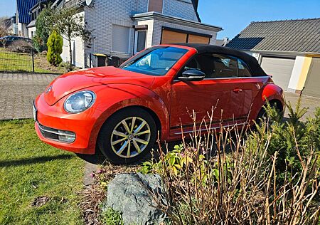 VW Beetle Volkswagen 1.2 TSI Cabriolet Club Kamera+Navi
