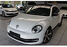 VW Beetle Volkswagen Lim./EXCLUS/SPORT/LEDE/STZHZ/NAVI/PDC/TEM