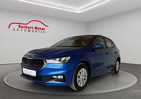 Skoda Fabia 1.0 TSI Selection*RACE-BLAU*LED*SHZ*