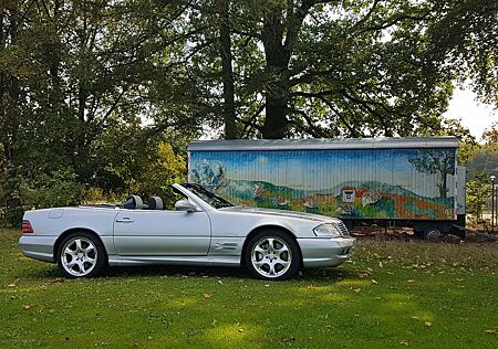 Mercedes-Benz SL 500 - silver arrow