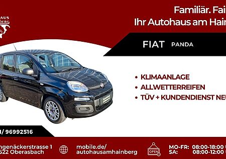 Fiat Panda Base MILD HYBRID 1.0