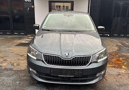 Skoda Fabia 1.2l TSI 66kW Joy Joy Achtfach bereift,PDC