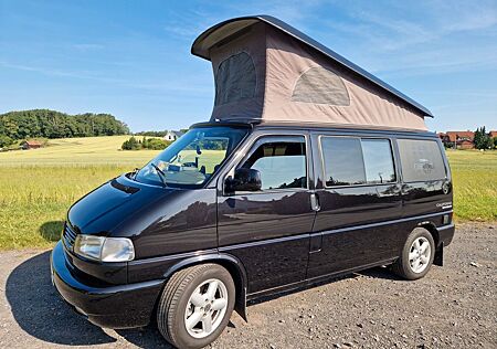 VW T4 California Volkswagen Event