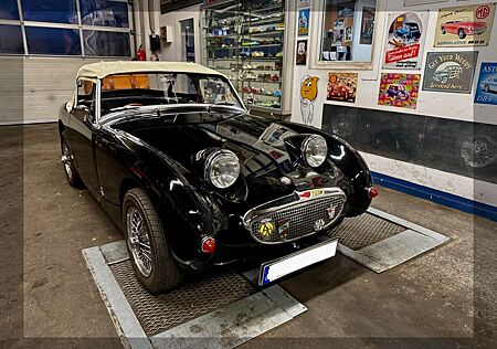 Austin Healey Andere