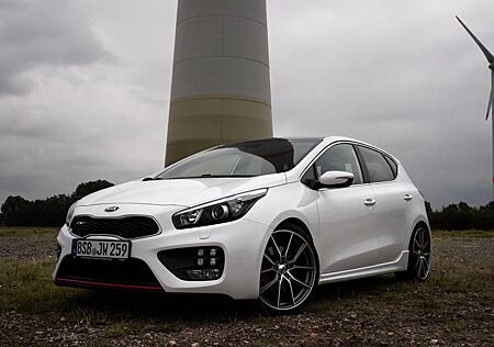 Kia Cee'd / Ceed 1.6 T-GDI GT-Track GT-Track