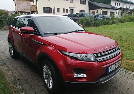 Land Rover Range Rover Evoque 2.2 TD4 Pure Pure