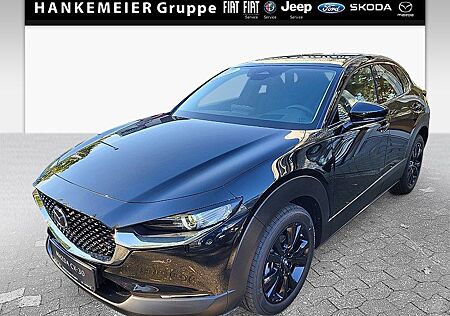 Mazda CX-30 Homura 2WD Head-Up, LED, Navi, Kamera, Aut