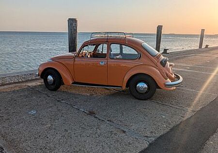 VW Käfer Volkswagen