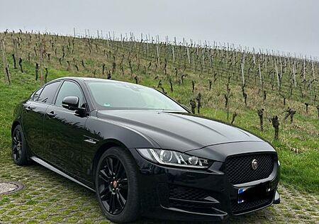 Jaguar XE Automatik R-Sport Black Pack / neue HU