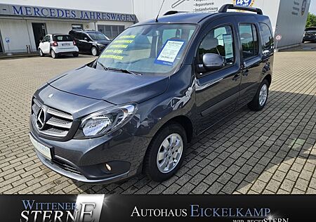 Mercedes-Benz Citan 112 6G-DCT Tourer Edition KAMERA SHZ PTS