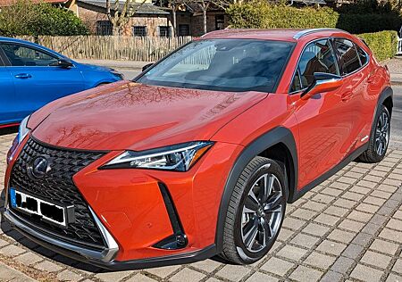 Lexus UX 250h Style, ACC, Kamera, Lenkerheizung