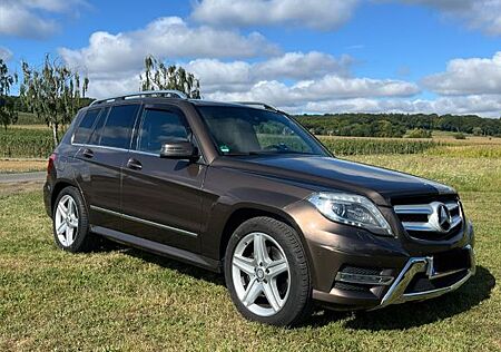 Mercedes-Benz GLK 250 BlueTEC 4MATIC