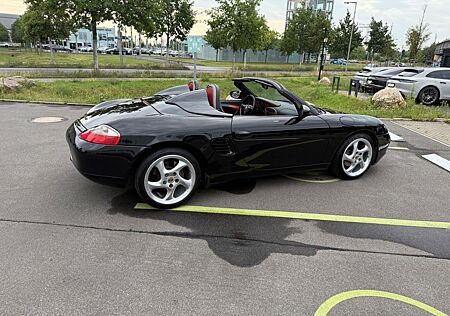 Porsche Boxster Black Edition Rennhutzen Speedsterhöcke