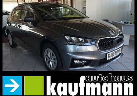 Skoda Fabia STYLE 110 PS DSG SHZ PDC APP TEMPOMAT LM