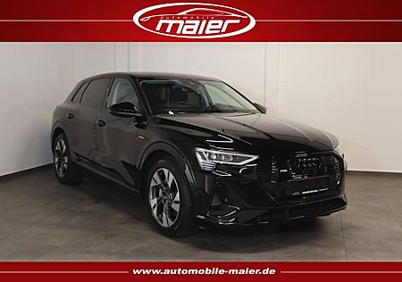 Audi e-tron 50 quattro S line-Luft-Virt.-Navi-LED-KAM