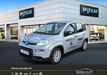 Fiat Panda Base