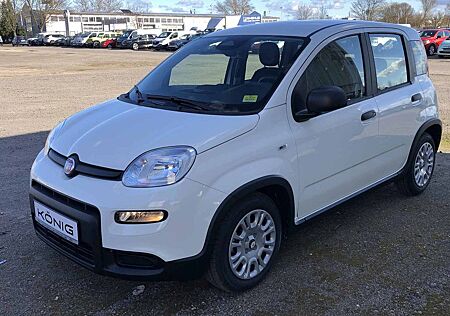 Fiat Panda MY24 1.0 Klima PDC Citypaket