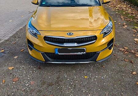 Kia XCeed 1.5 T-GDI 7DCT Spring Edition