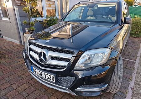 Mercedes-Benz GLK 200 GLK 250CDI BlueEFFICIENCY -