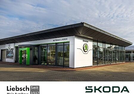 Skoda Karoq Ambition 1.5 TSI Clima LED AHK