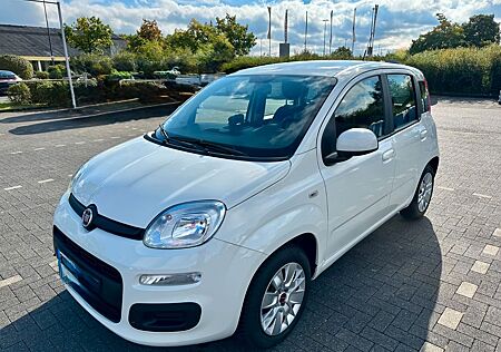 Fiat Panda Lounge, wenig km, optisch + technisch top!