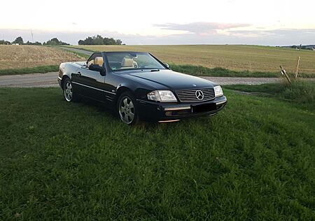 Mercedes-Benz SL 280 in seltener Farbkombination