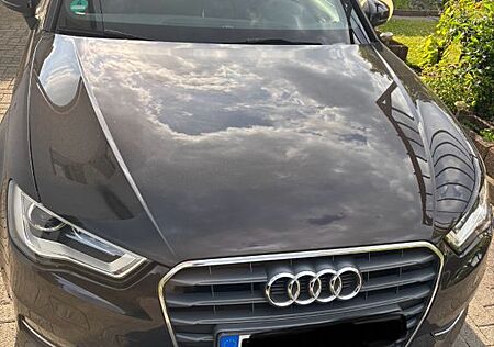 Audi A3 1.6 TDI 77kW Ambition Ambition