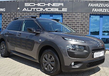 Citroën C4 Cactus Business NAVI PANORAMADACH PDC KLIMAAU