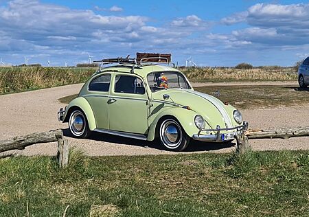 VW Käfer Volkswagen