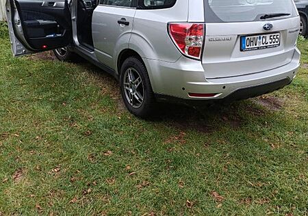 Subaru Forester gebraucht kaufen Subaru Forester 2.0X Comfort Comfort